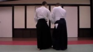Ай ханми катате дори, Коте гаеши