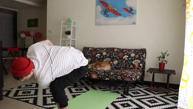 ХАТХА ЙОГА/ ЗАНЯТИЕ ДЛЯ СРЕДНЕГО И ПРОДВИНУТОГО УРОВНЕЙ/ ЙОГА ДОМА №26/ Практика от 14 декабря 2019 смотреть онлайн