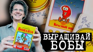 БОНАНЗА ??? Выращивайте Бобы прямо на столе и зарабатывайте больше остальных!