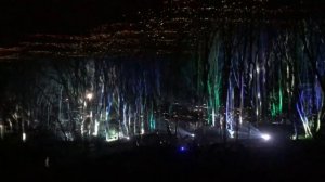 Сказочный лес. Оформление парковой зоны световым, лазерным и проекционным оборудованием.