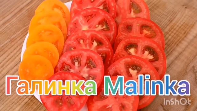 Ольга Уралочка live /Два клоуна смешат народ /Обзор Влогов /Уралочка и Сафар /