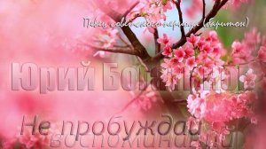Юрий Богатиков - Не пробуждай воспоминаний