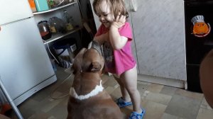 Стаффорды любят детей