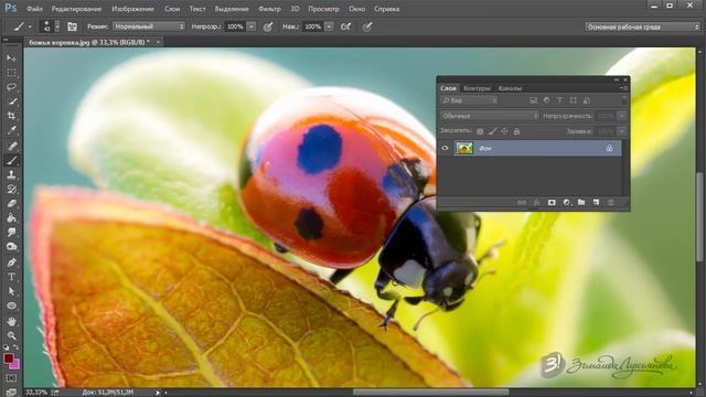 Photoshop CC с нуля(2 часть) смотреть онлайн