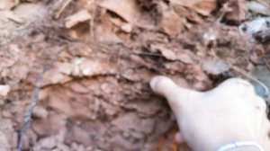 продолжение нижнего видео о начале осени на месте добычи "Красной-приозёрной" глины. Часть 2.