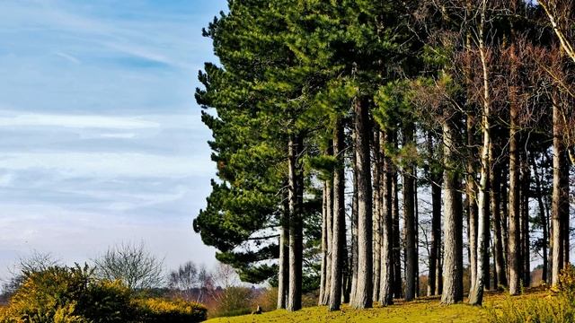 Евангелие и Святые дня. Апостольские чтения. Седмица 34-я по Пятидесятнице. (08.02.22) смотреть онлайн