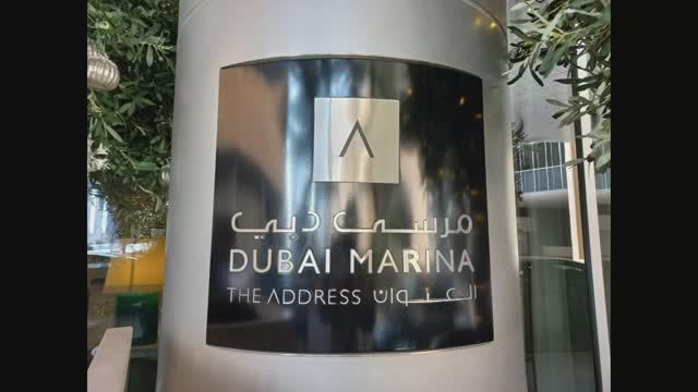The Address Dubai Marina.Стильный отель с тигром в бассеине.#address.mp4
