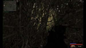 S.T.A.L.K.E.R. Возвращение шрама. Прохождение. Часть 17