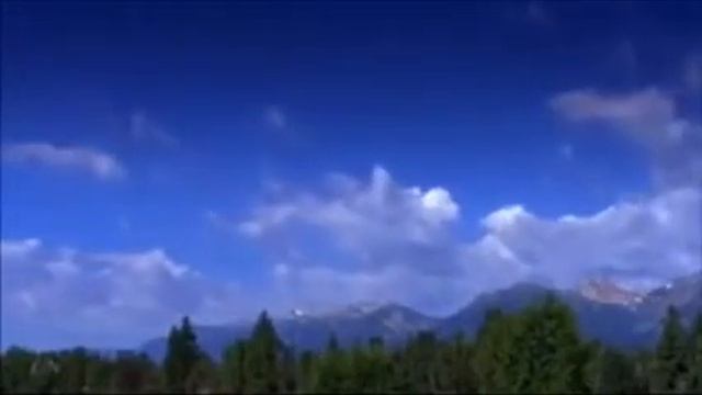 Надменность и высокомерие...
