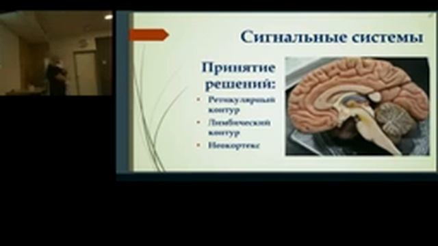 ТАЙНЫ ФИЗИКИ И ЛИРИКИ МОЗГА ЧЕЛОВЕКА смотреть онлайн