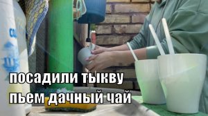 VLOG: УЕХАЛА В ОГОРОД