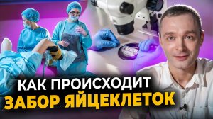 Как проходит ЭКО. Все этапы в одном видео: стимуляция овуляции, пункция фоликулов, перенос эмбрионов