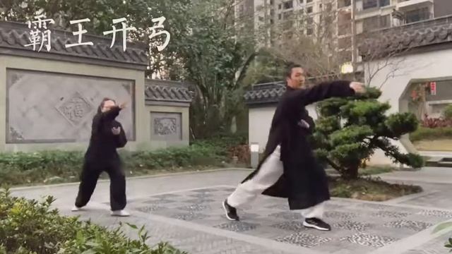 Форма Тай И плавающий дракон (отрывок) смотреть онлайн