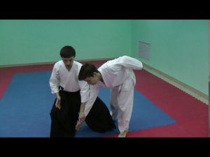 Шомэн учи - котэ гаеси
