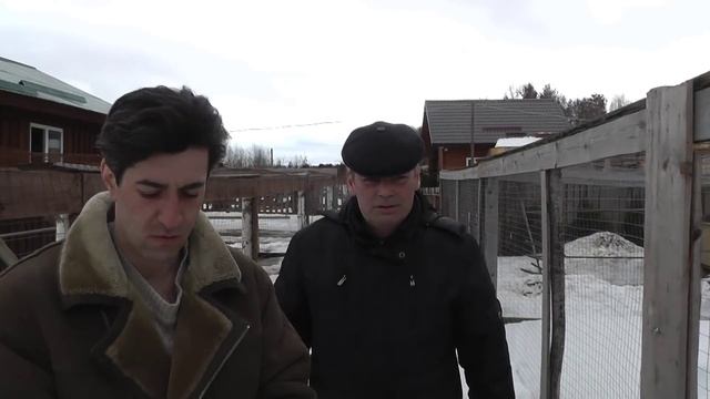 Ферма БЕРЕЗИНО: новые серии о птице, птицеводстве и фермерстве! смотреть онлайн