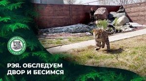 Выпуск 86. Рэя. Обследуем двор и бесимся.