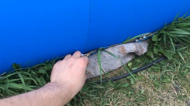 Какой бассейн лучше для дачи? Надувной или каркасный бассейн?