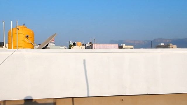 testing zoom of nikon coolpix l830 by clicking dragon fly pics and an small video смотреть онлайн