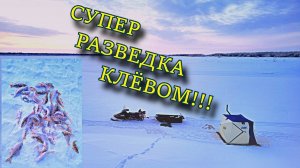 РАЗВЕДКА КЛЁВОМ!!! СКРИП ЛЕСКИ ИЛИ КАК МЫ ПОПАЛИ НА ЖОР ОКУНЯ!