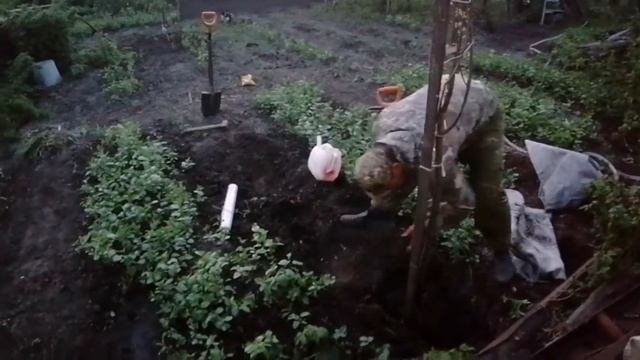 Отличный результат! Поздние посадки саженцев в жару. Делюсь своими приёмами