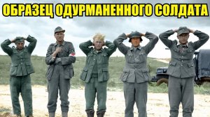 "Немцы думали, что их расстреляют, а их просто сфотографировали" Воспоминания ветерана вов