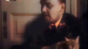 В.И.Ленин и котики. (в цвете) Lenin and cats.