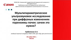 Мультипараметрическое УЗИ при диффузных изменениях паренхимы почки: зачем это нужно?