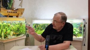 #12 Ответы на вопросы - 2.0.  Аквариумистика с Геннадием Посейдонычем