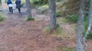 Пеший поход по Карельским лесам на Ястребиное озеро и Большие Скалы.