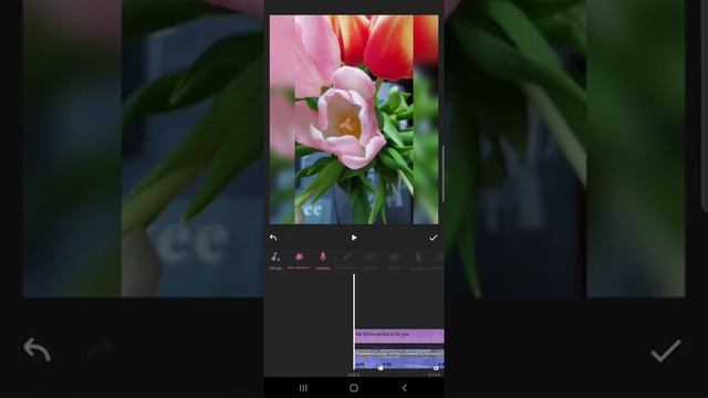 Изучаем программу Inshot и как в ней работать. смотреть онлайн