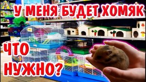 ?ЧТО НУЖНО ДЛЯ ХОМЯКА? У МЕНЯ БУДЕТ ХОМЯК ? ЧТО НУЖНО ДЛЯ ПОЯВЛЕНИЯ ХОМЯКА ❗