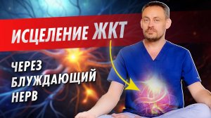 Блуждающий нерв: почему из-за него возникают проблемы с желудком и как их исправить.