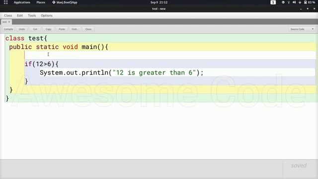 ICSE Java 8, 9, 10 : #7 If And Else Statement In Java | How To Use If And Else In Java | If In Java