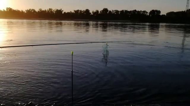 Рыбалка на Дону. Лето 2019. смотреть онлайн