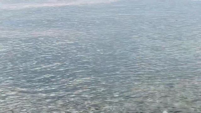 16.10.2023. Погода в Сочи в октябре. Смотри на Чёрное море каждый день.