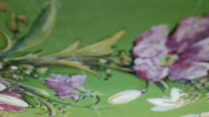 Подорожник(Если б было так возможно, я бы, словно подорожник, на твоём возник пути)наброски)