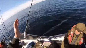 Онежское озеро. Троллинг лосося. Петроглифы.