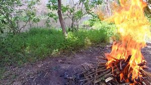 Поход выходного дня жарим мясо в лесу на костре