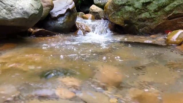 Экшн камера Rekam A320 - тестовое видео смотреть онлайн