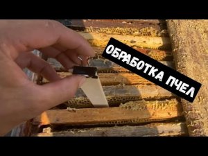 ОБРАБОТКА ПЧЁЛ ОТ КЛЕЩА/КАК ОБРАБОТАТЬ ПЧЁЛ ОТ КЛЕЩА НАЧИНАЮЩЕМУ ПЧЕЛОВОДУ