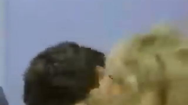 $100,000 Pyramid 1st Tournament Win! смотреть онлайн