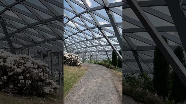 Москва парк Зарядье. Конец весны. Стеклянная кора.