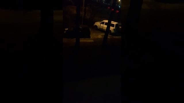 Играю с уличным котенком с помощью лазерки . смотреть онлайн