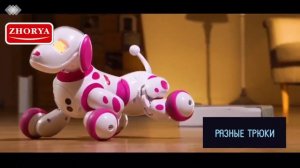 ZHORYA TOYS    ZY1154408    ZYA-A2917