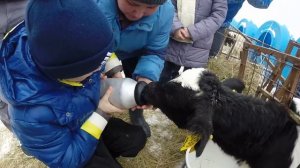 Экскурсия мактаба на молочную ферму (д. Асеньевское).