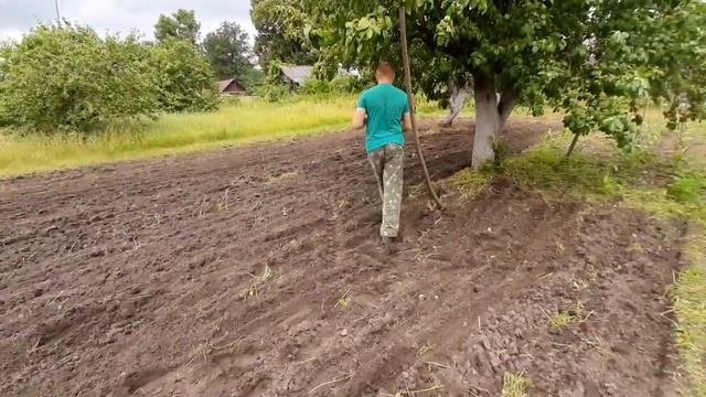 сею сидерат.ручной сеялкой.