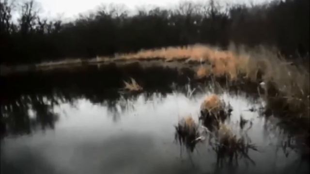 моя замена хорватскому яйцу рыбалка смотреть онлайн