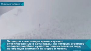 НАШЛИ СНЕЖНОГО ЧЕЛОВЕКА! | ТАЙНА РАСКРЫТА! | СЛЕЖКА ЗА СНЕЖНЫЙ ЧЕЛОВЕКОМ!