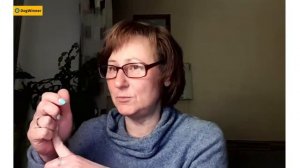 Каким лакомством лучше поощрять щенка на занятиях? «Вопрос-ответ» с кинологом Татьяной Шамановой