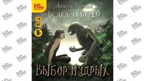 Выбор мудрых (Андрей Рымин). Читает Максим Суслов_demo